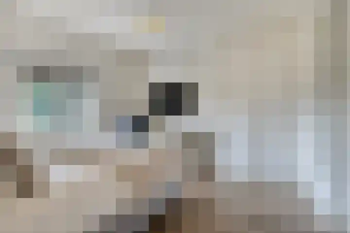 Floraliastraat 24 Oss thumbnail 38