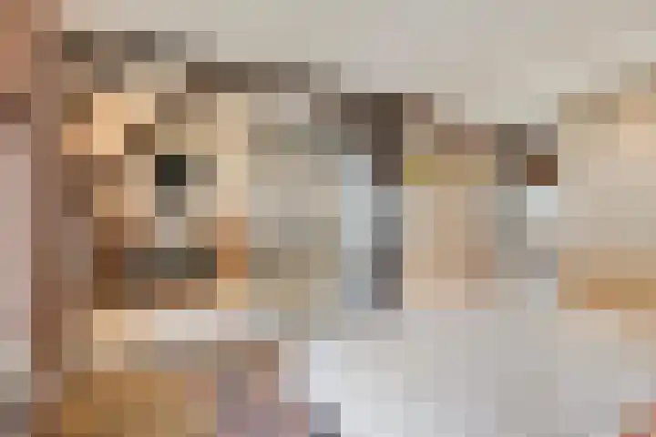 Floraliastraat 24 Oss thumbnail 4