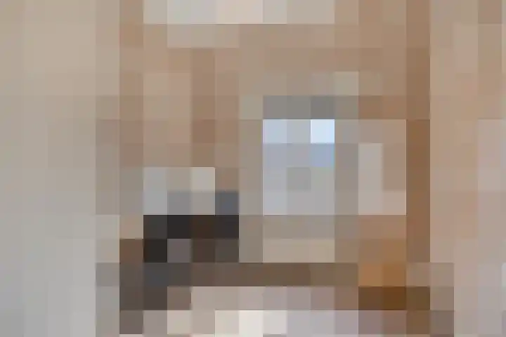 Floraliastraat 24 Oss thumbnail 40