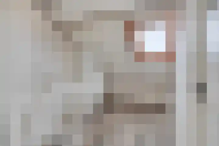 Floraliastraat 24 Oss thumbnail 42