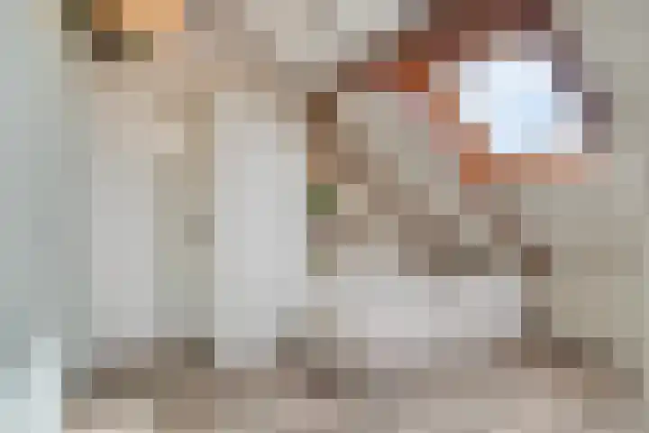 Floraliastraat 24 Oss thumbnail 44