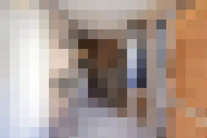 Floraliastraat 24 Oss thumbnail 47