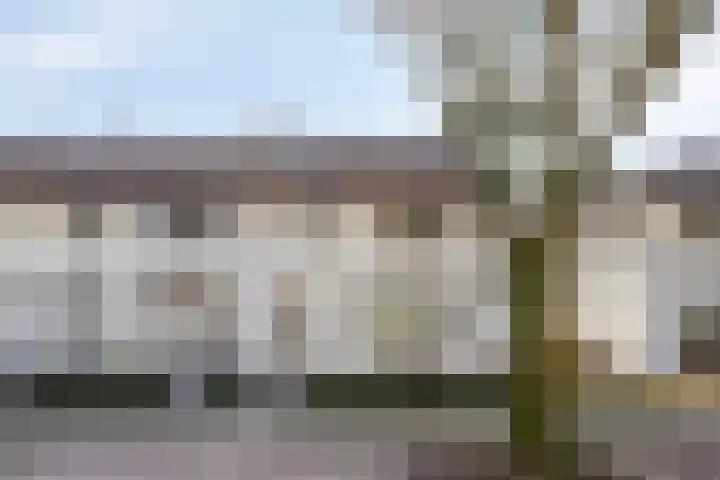 Floraliastraat 24 Oss thumbnail 5