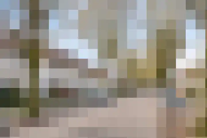Floraliastraat 24 Oss thumbnail 51