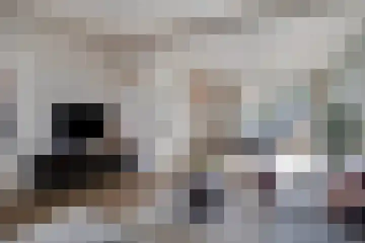 Floraliastraat 24 Oss thumbnail 8