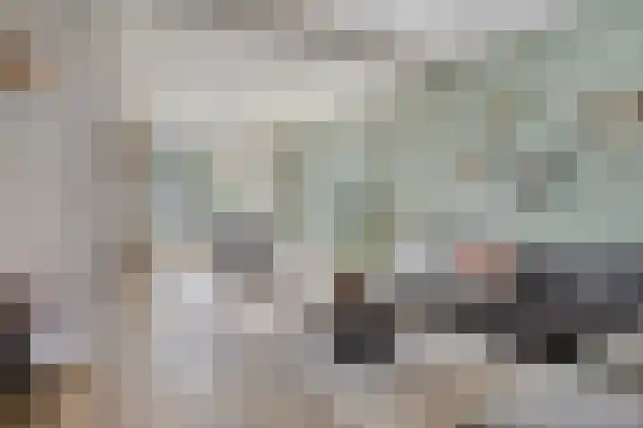 Floraliastraat 24 Oss thumbnail 9