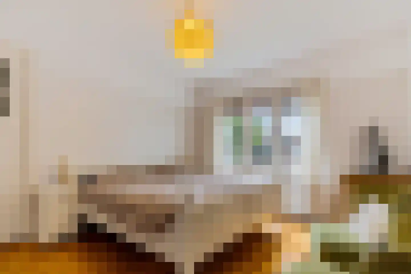 Floraliastraat 57 Oss thumbnail 21