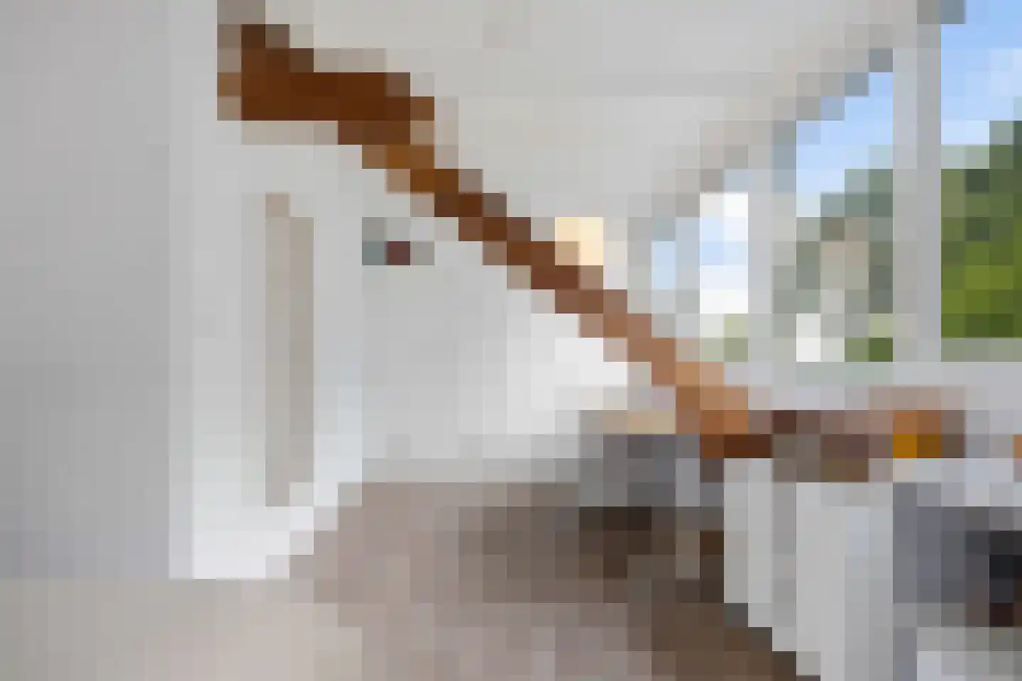 Floraliastraat 57 Oss thumbnail 31