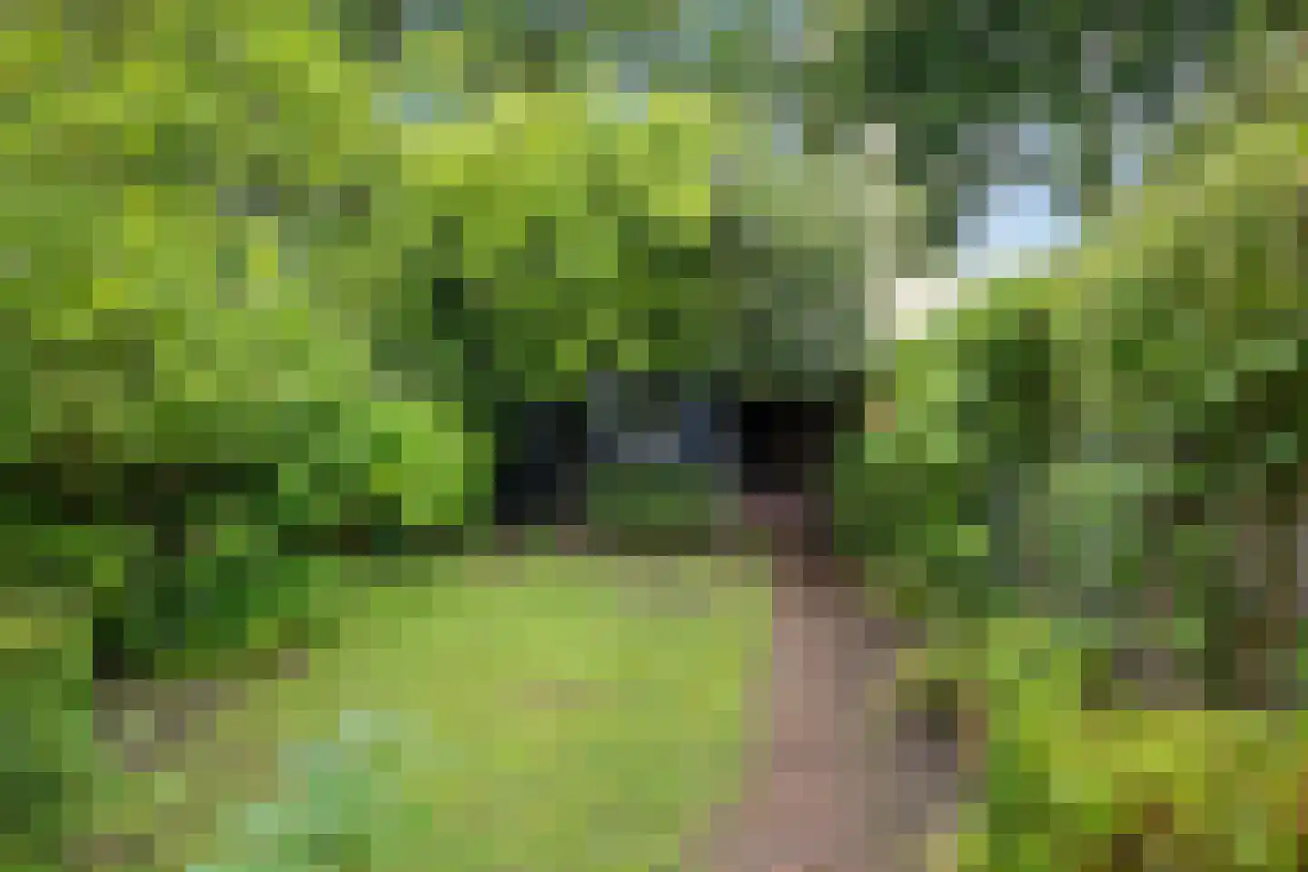 Floraliastraat 57 Oss thumbnail 33