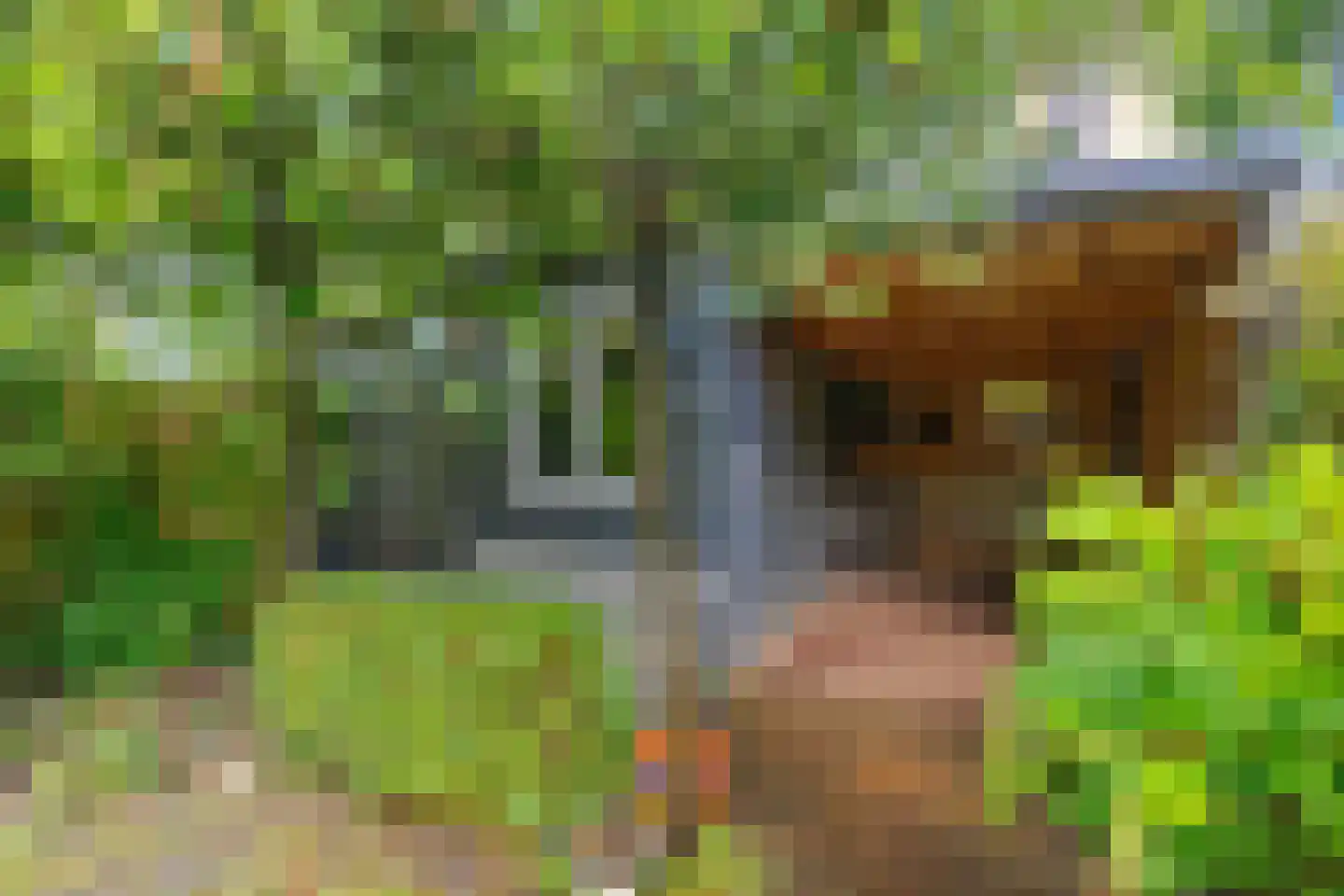Floraliastraat 57 Oss thumbnail 34