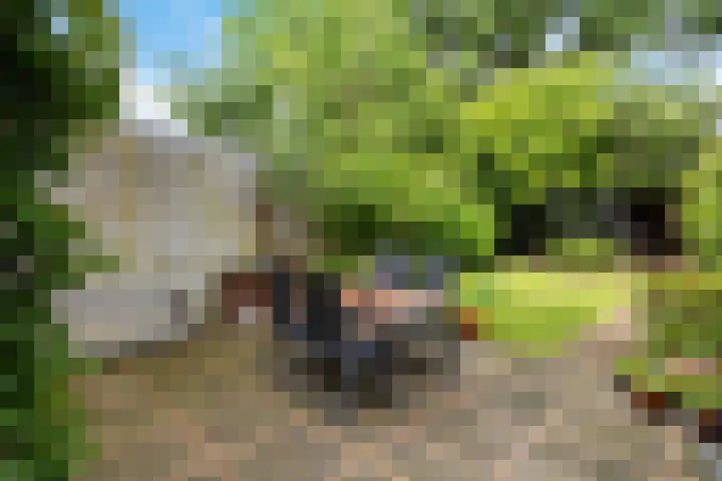 Floraliastraat 57 Oss thumbnail 36