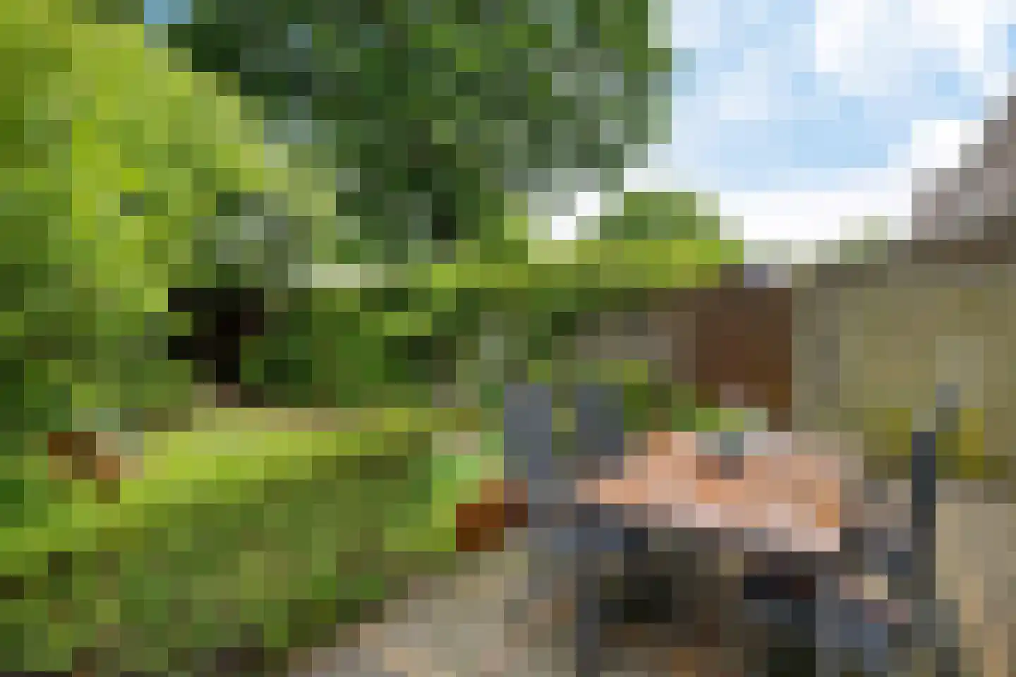 Floraliastraat 57 Oss thumbnail 37