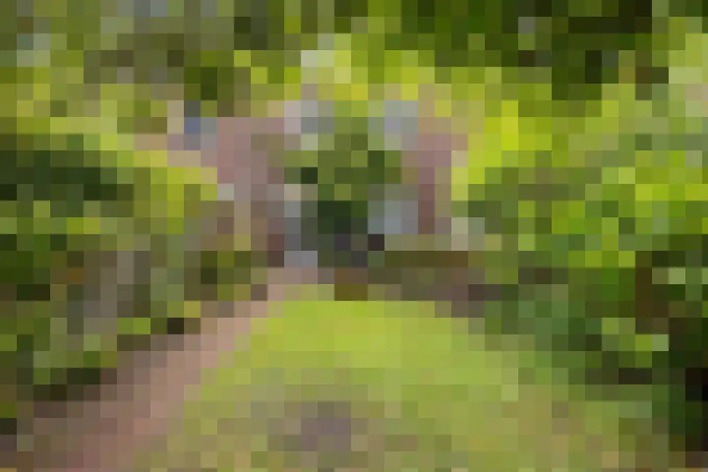 Floraliastraat 57 Oss thumbnail 38