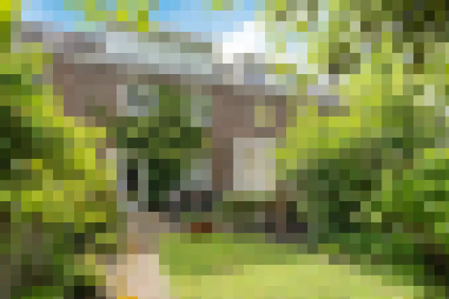 Floraliastraat 57 Oss thumbnail 39