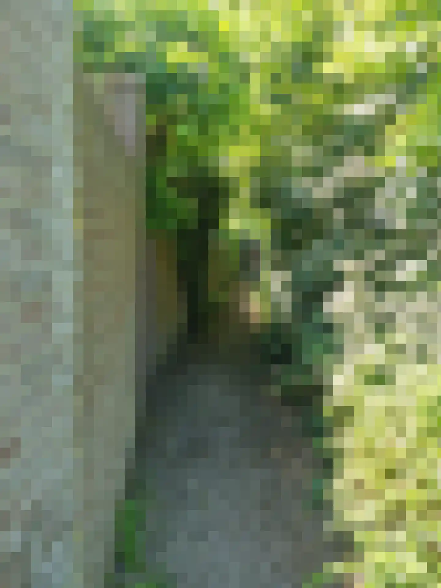 Floraliastraat 57 Oss thumbnail 40