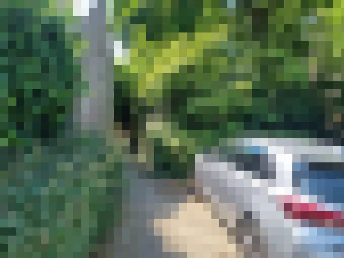 Floraliastraat 57 Oss thumbnail 42