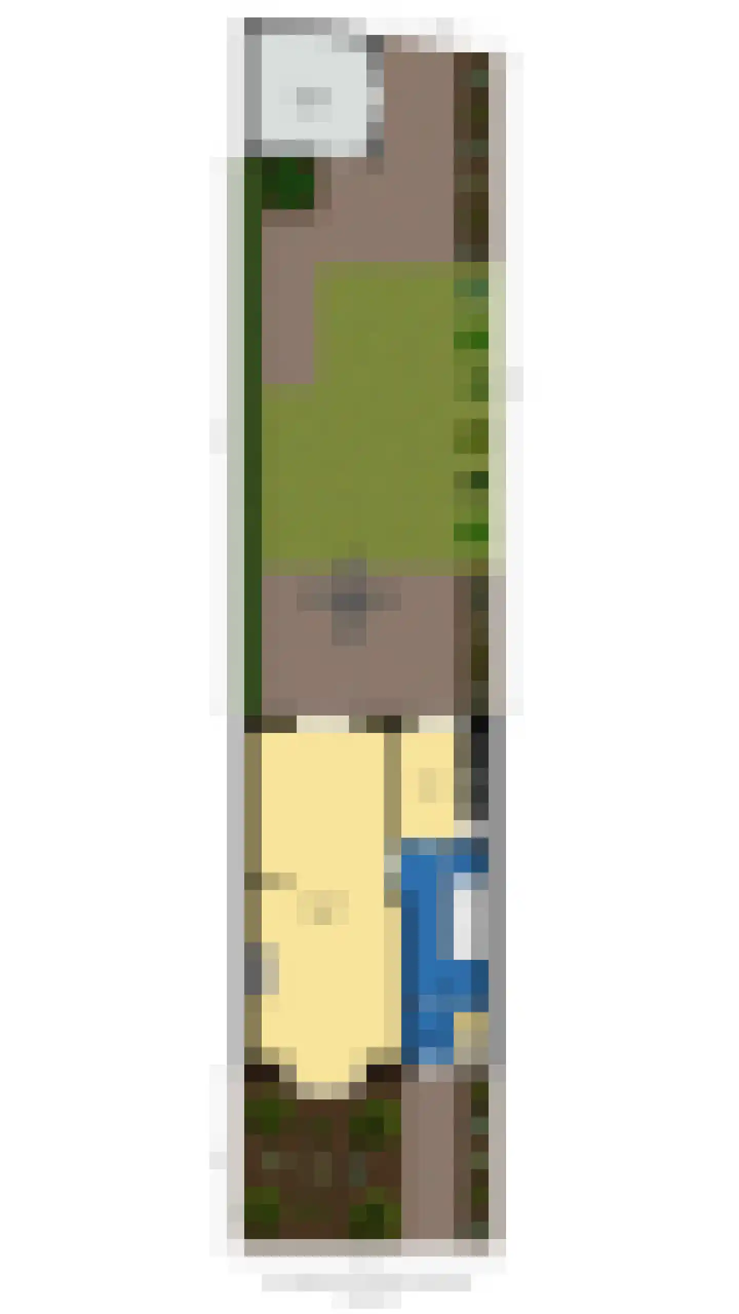 Floraliastraat 57 Oss thumbnail 49