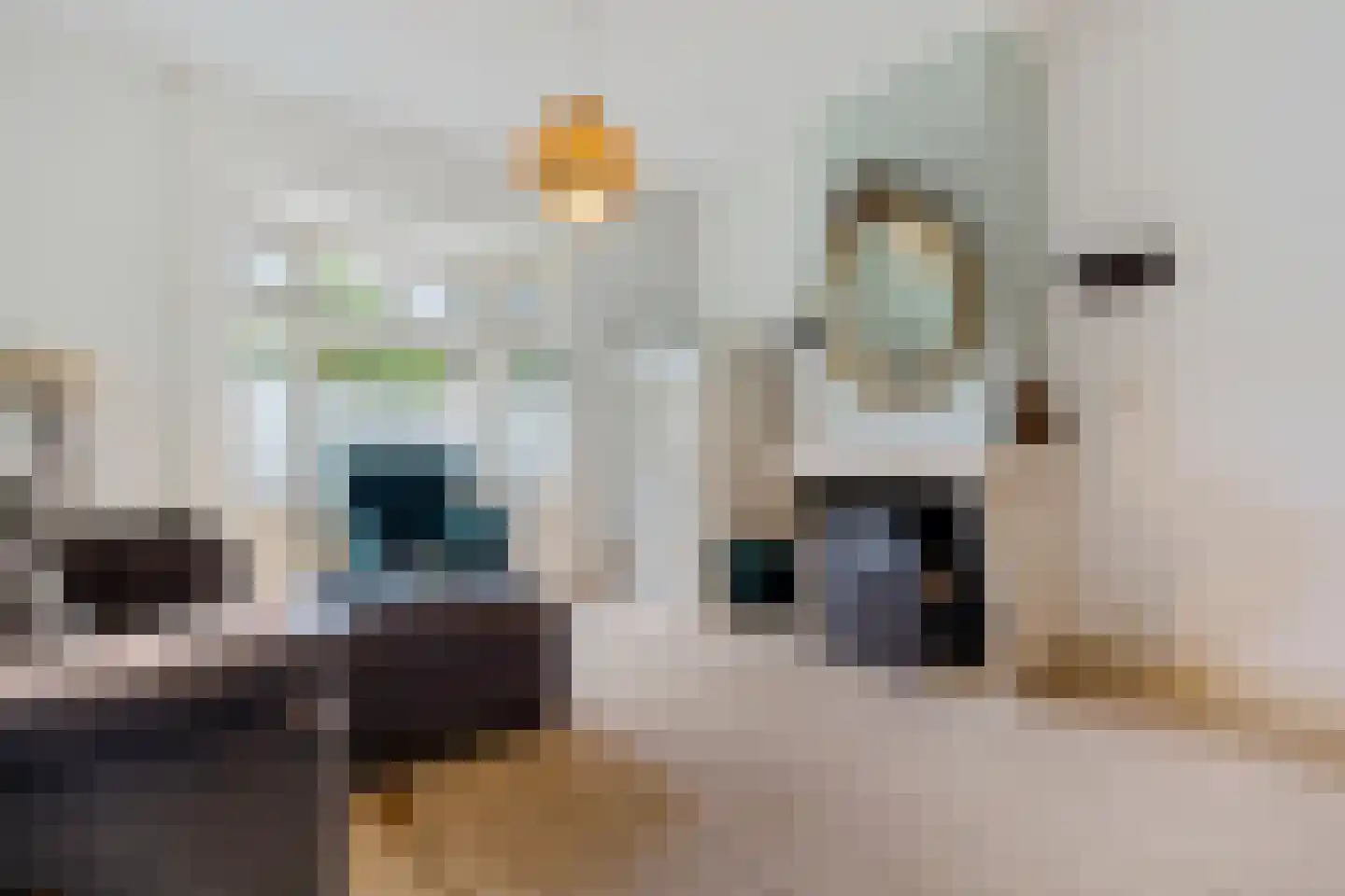 Floraliastraat 57 Oss thumbnail 9