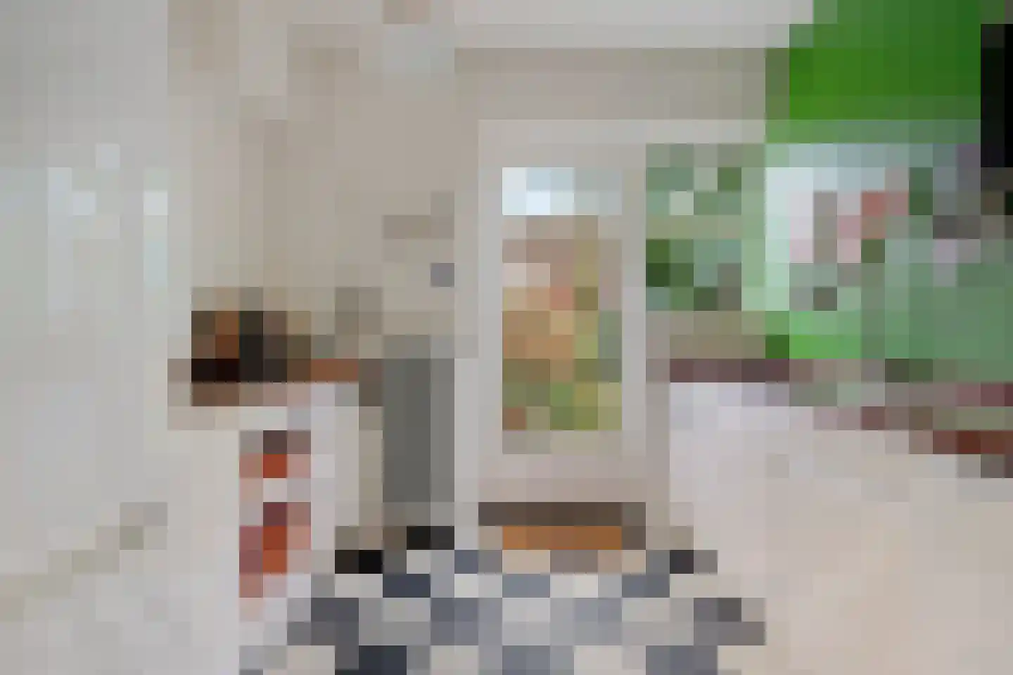 Floraliastraat 6 Oss thumbnail 11