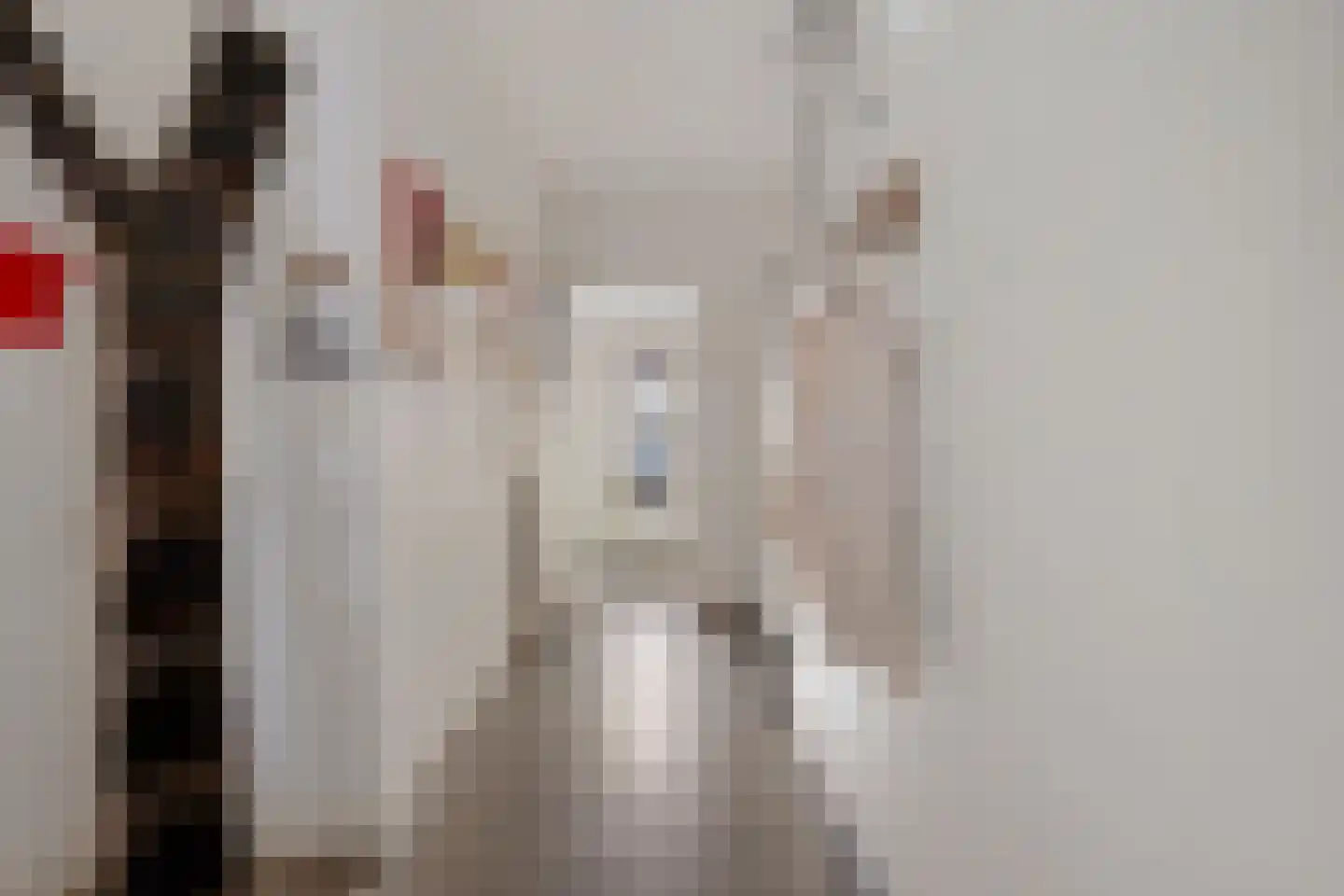 Floraliastraat 6 Oss thumbnail 13