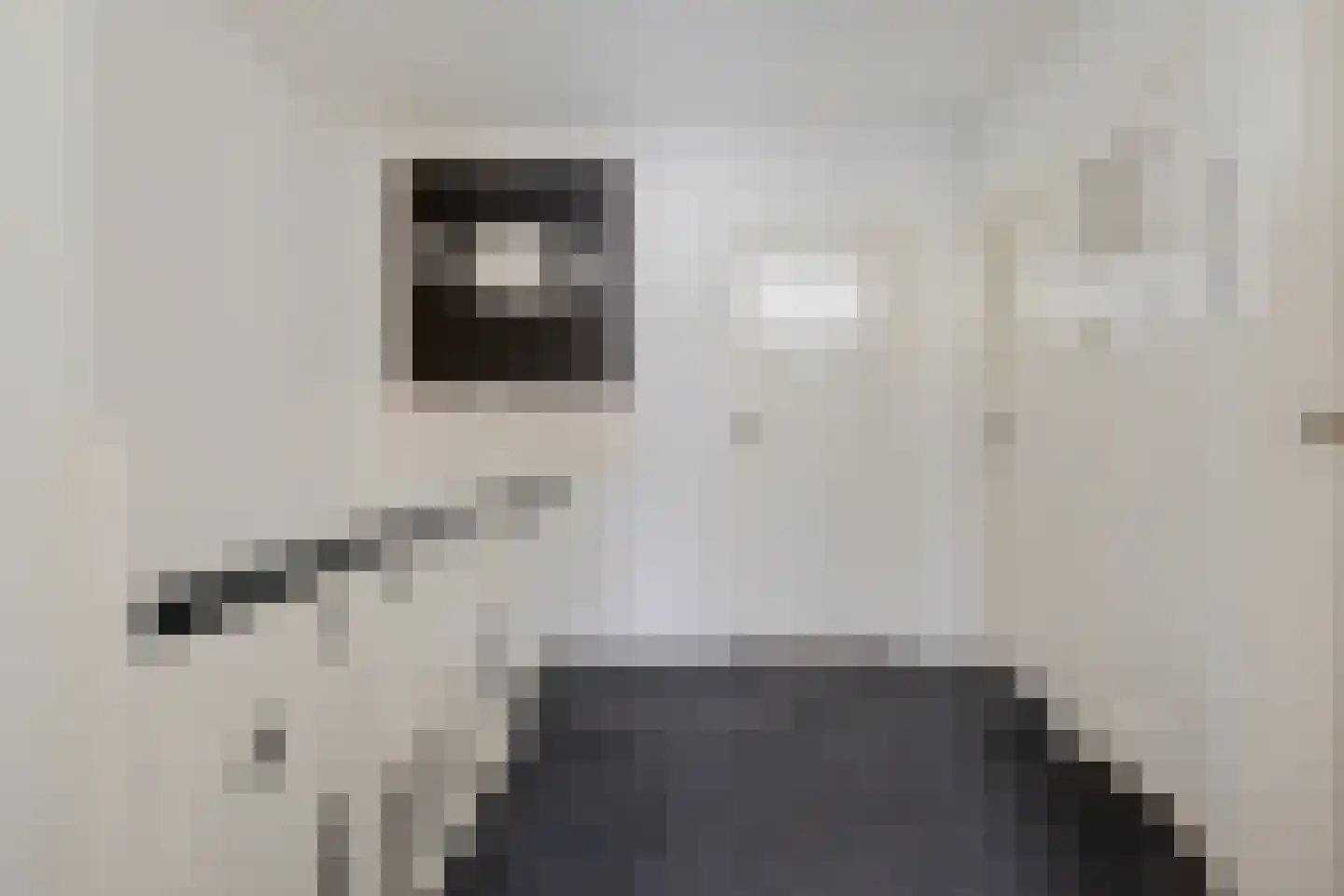 Floraliastraat 6 Oss thumbnail 24