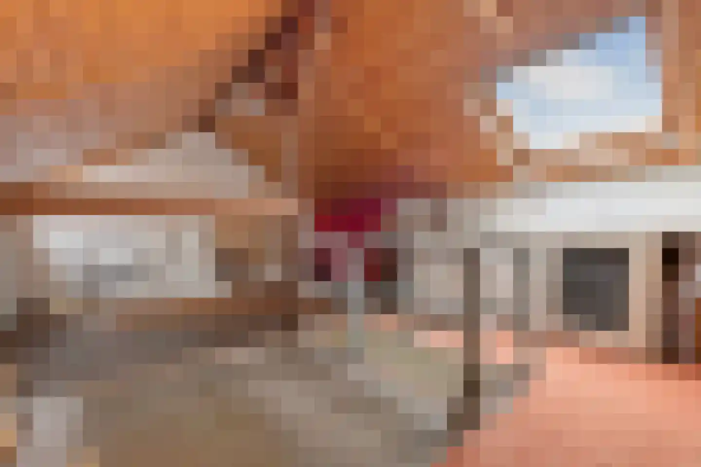 Floraliastraat 6 Oss thumbnail 25