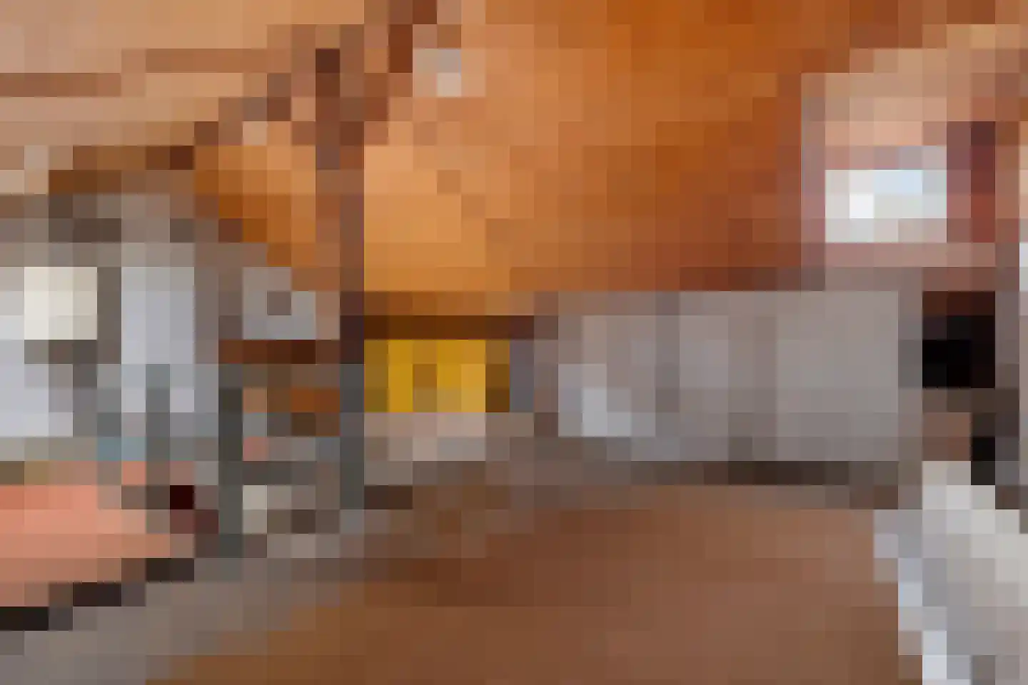 Floraliastraat 6 Oss thumbnail 26