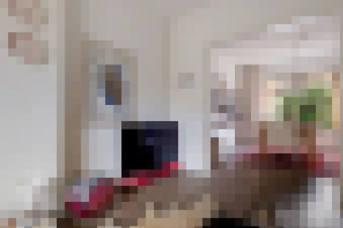 Floraliastraat 6 Oss thumbnail 4