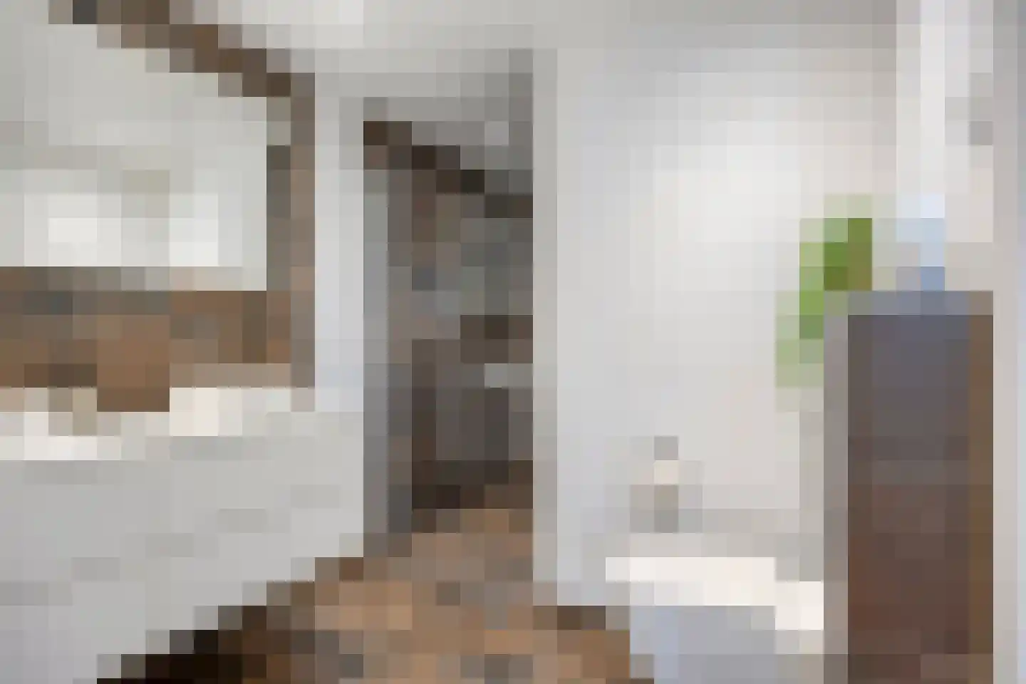Floraliastraat 63 Oss thumbnail 15