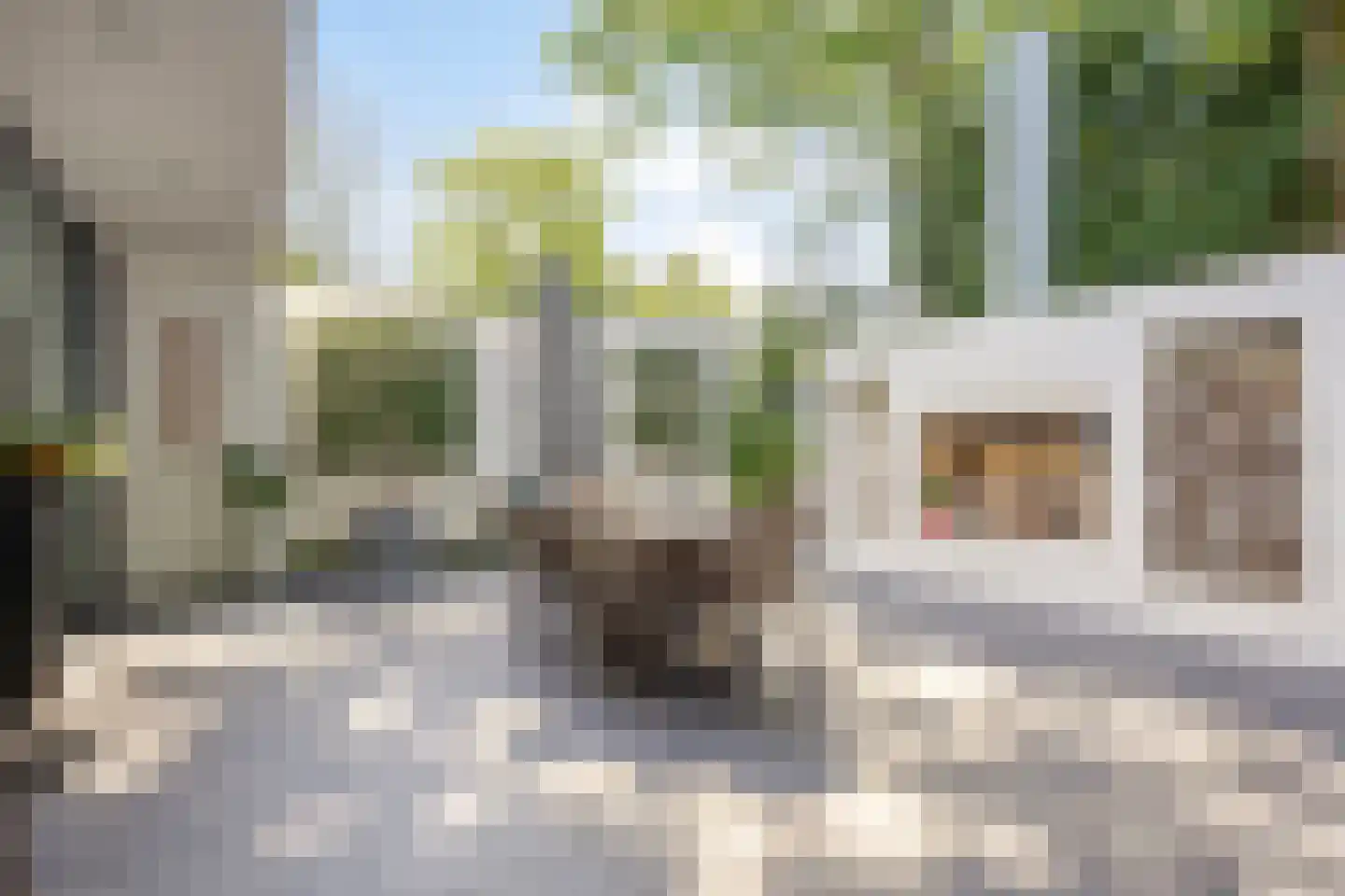 Floraliastraat 63 Oss thumbnail 22
