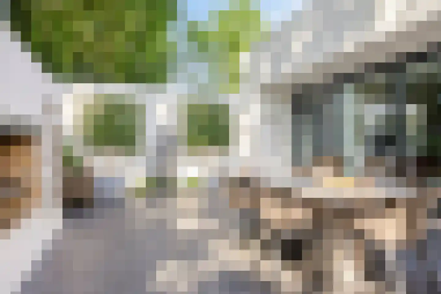 Floraliastraat 63 Oss thumbnail 24