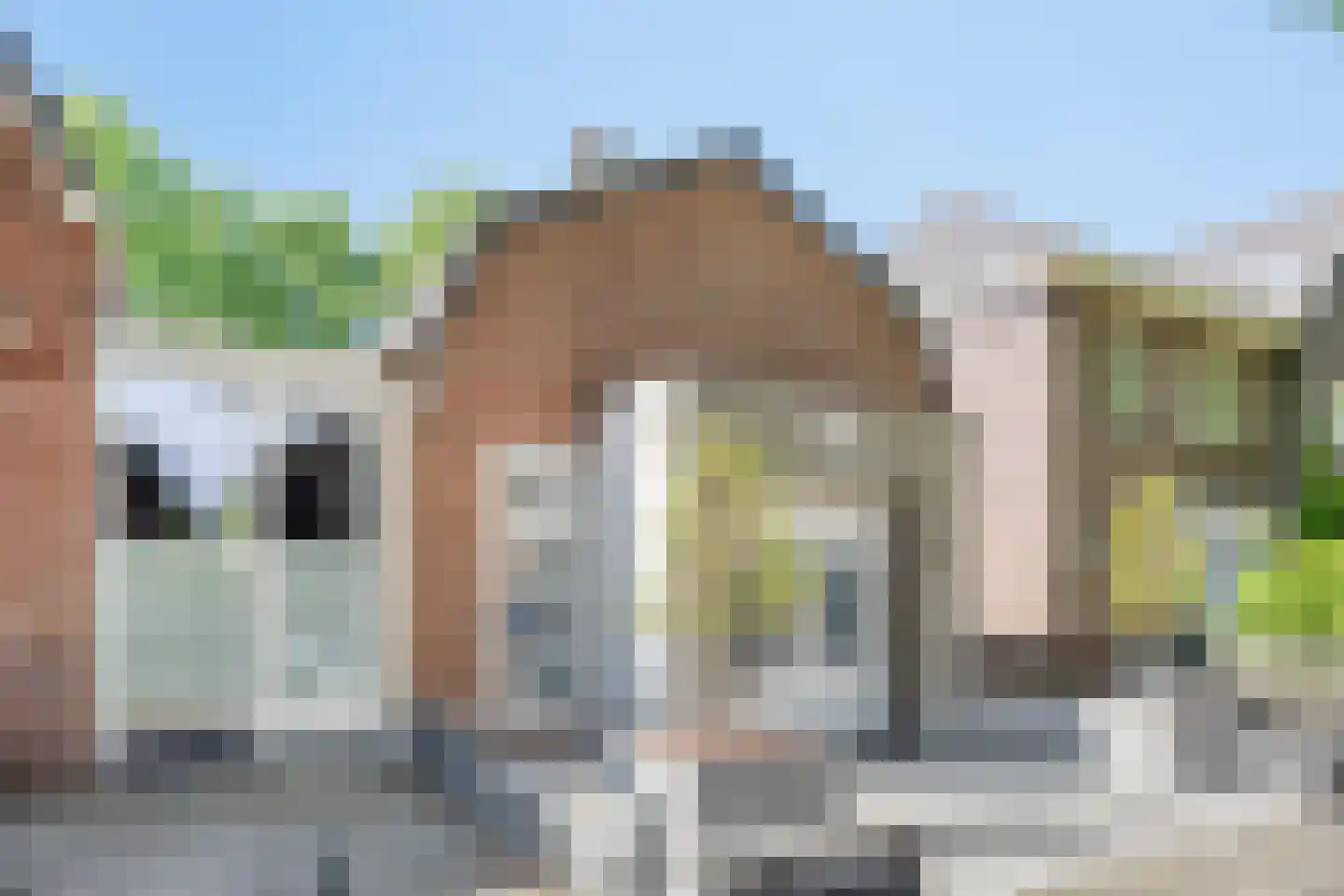 Floraliastraat 63 Oss thumbnail 28