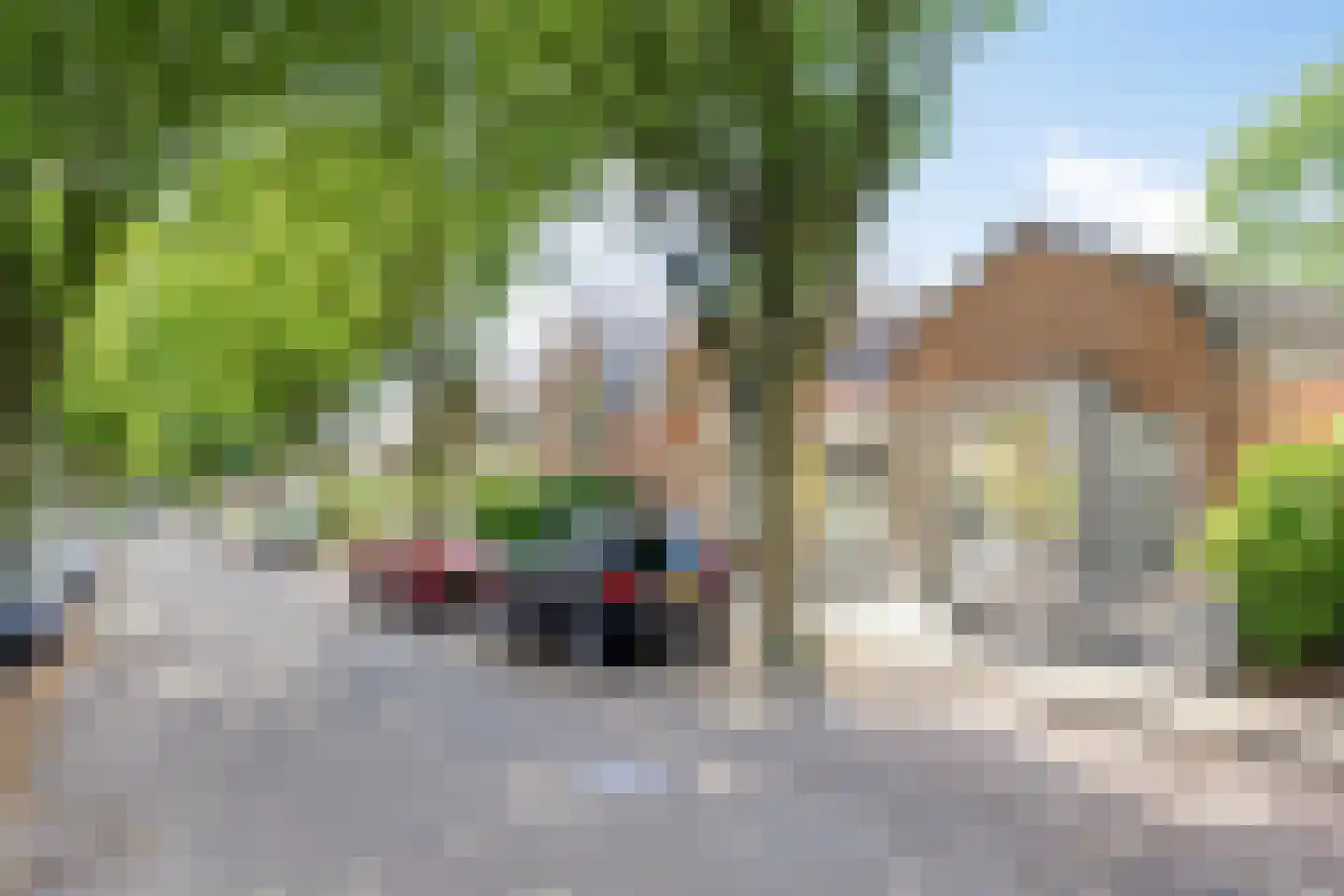 Floraliastraat 63 Oss thumbnail 29