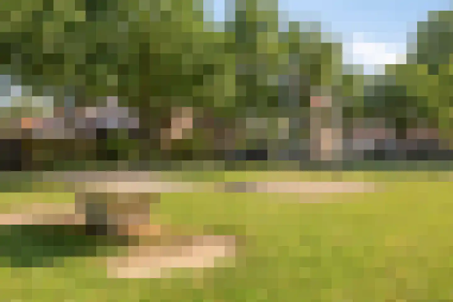 Floraliastraat 63 Oss thumbnail 31