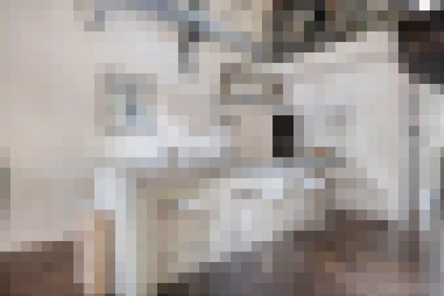 Floraliastraat 63 Oss thumbnail 7