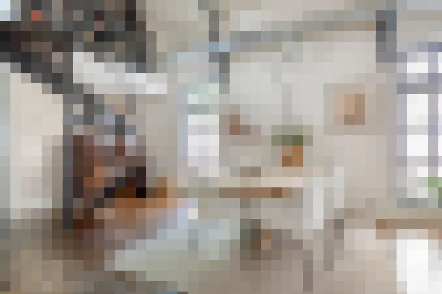 Floraliastraat 63 Oss thumbnail 8