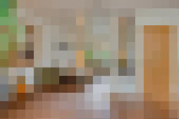 Floraliastraat 67 Oss thumbnail 10