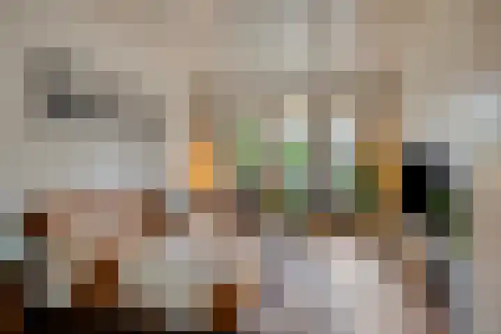 Floraliastraat 67 Oss thumbnail 11