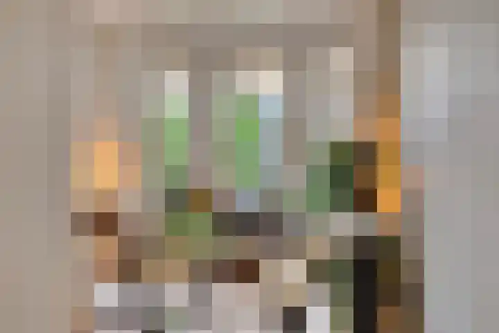 Floraliastraat 67 Oss thumbnail 12