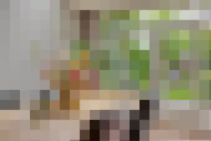 Floraliastraat 67 Oss thumbnail 14