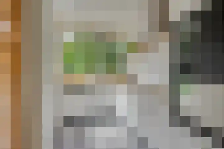 Floraliastraat 67 Oss thumbnail 16