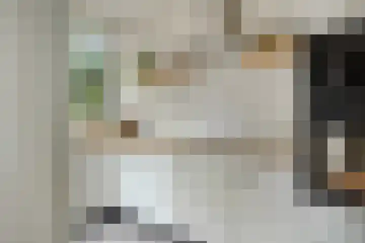 Floraliastraat 67 Oss thumbnail 17