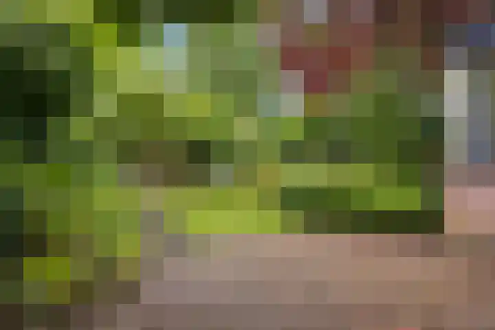 Floraliastraat 67 Oss thumbnail 18