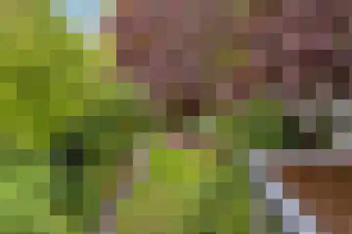 Floraliastraat 67 Oss thumbnail 19
