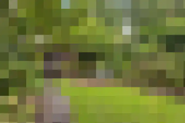 Floraliastraat 67 Oss thumbnail 20