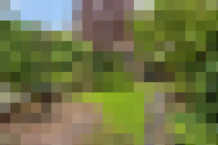 Floraliastraat 67 Oss thumbnail 21