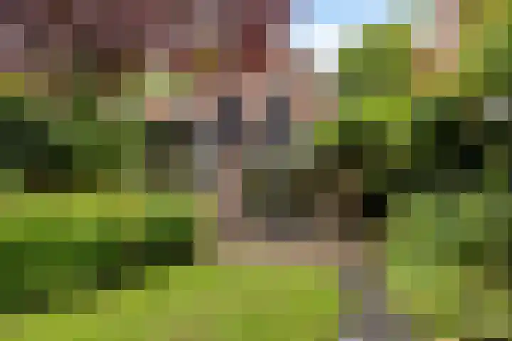 Floraliastraat 67 Oss thumbnail 22