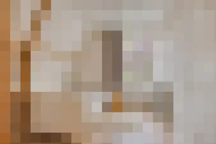 Floraliastraat 67 Oss thumbnail 26