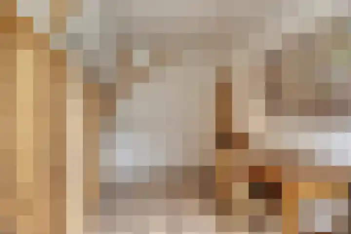 Floraliastraat 67 Oss thumbnail 31