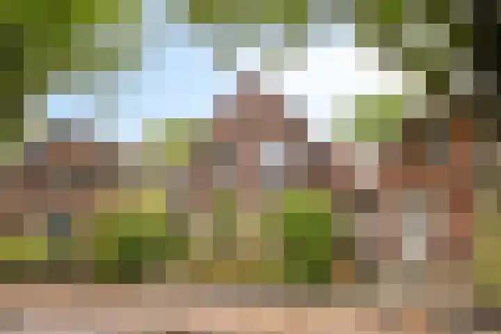 Floraliastraat 67 Oss thumbnail 32